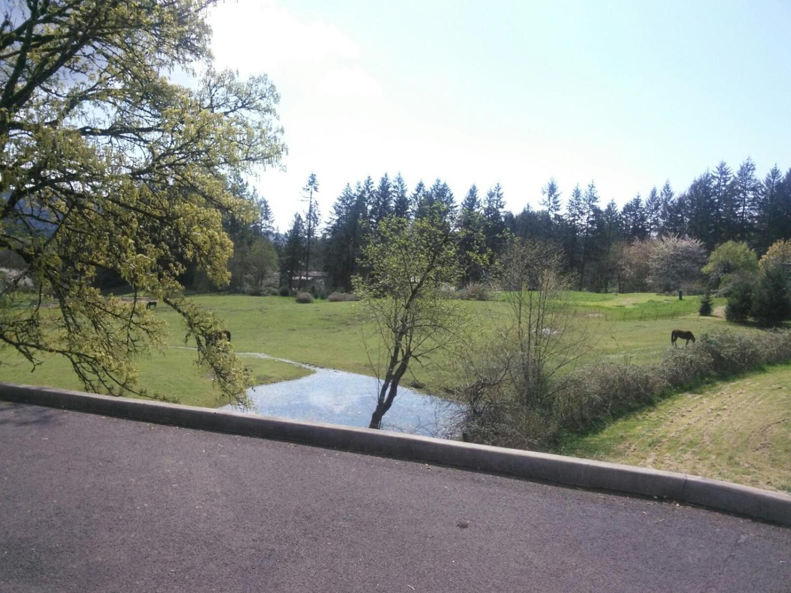 Vancouver Wa Beautiful Apartment 伍德兰 外观 照片